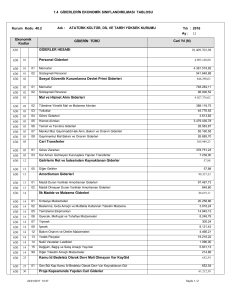 1.4 giderlerin ekonomik sınıflandırılması tablosu 12.2016