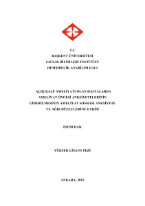 tc başkent üniversitesi sağlık bilimleri enstitüsü hemşirelik anabilim