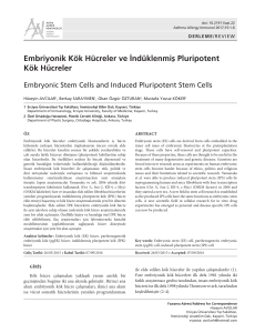 Embriyonik Kök Hücreler ve İndüklenmiş Pluripotent Kök Hücreler