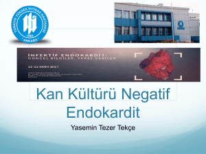 Kan Kültürü Negatif Olan Endokardit