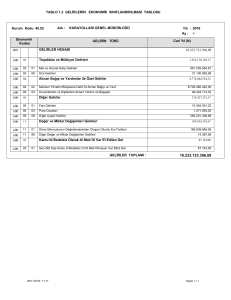 TABLO 1.2 GELİRLERİN EKONOMİK