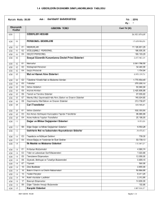 giderlerin ekonomik sınıflandırılması tablosu