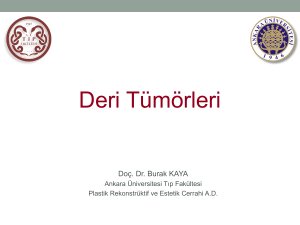 Deri Tumorleri - Ankara Üniversitesi Açık Erişim Sistemi