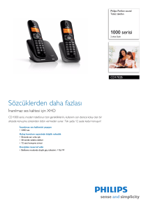 CD1702B/38 Philips Telsiz telefon