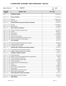 Giderlerin Ekonomik Sınıflandırılması Tablosu