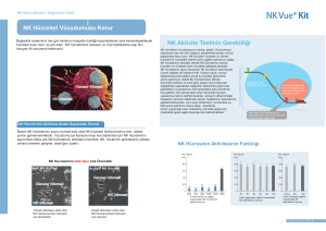 NK Hücreleri Vücudumuzu Korur NK Aktivite Testinin