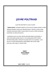 çevre politikası