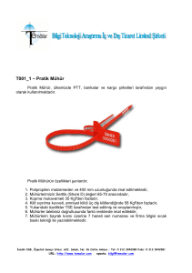 T001_1 – Pratik Mühür