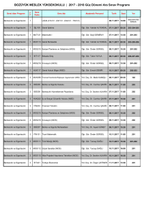 BOZÜYÜK MESLEK YÜKSEKOKULU | 2017