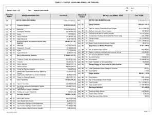 Bütçe Uygulama Sonuçları Tablosu