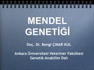 Cells: Prokaryote vs Eukaryote - Ankara Üniversitesi Açık Ders