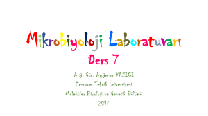 Mikrobiyoloji Laboratuvar* Ders 7