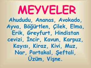 meyveler - WordPress.com