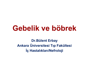 Gebelik ve böbrek - Ankara Üniversitesi