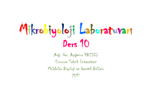 Mikrobiyoloji Laboratuvar* Ders 10
