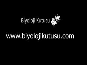 Slayt 1 - Biyoloji Kutusu