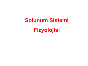 Solunum Sistemi Fizyolojisi