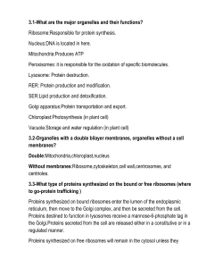 medical biology questions and answers