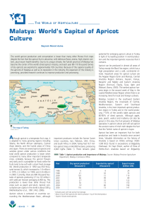 Malatya worlds capital of apricot culture