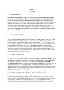 Bel Ağrısı, Spinal Manipülasyon ve Williams Egzersizleri