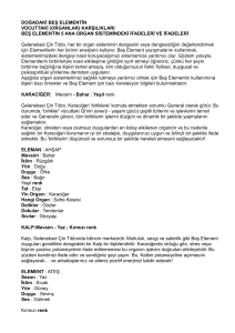Beş Element ve Organlar: Geleneksel Çin Tıbbı