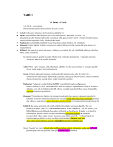 ASTEK Metodolojisi ile Tarih Analizi: Sümer ve Mısır Uygarlıkları