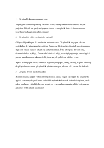 girişimcilik