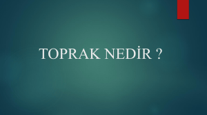 TOPRAK KİRLİLİĞİ