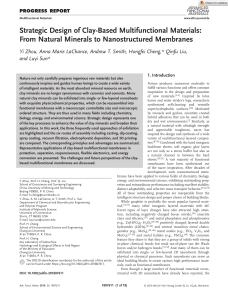 Clay-Based Multifunctional Materials: Strategic Design and Applications