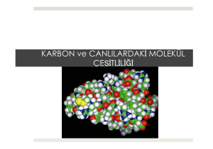 4. Karbon ve Canlılardaki Molekül Çeşitliliği.pptx