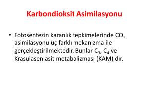 8.4. Karbondioksit Asimilasyonu