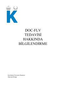 23 Doc-FLv Turkiska