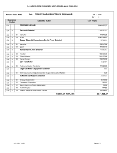 1.4.Giderlerin Ekonomik Sınıflandırılması Tablosu