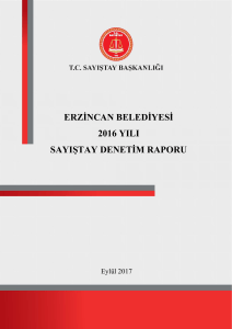 erzincan belediyesi 2016 yılı sayıştay denetim raporu