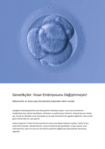 Genetikçiler: İnsan Embriyosunu Değiştirmeyin!