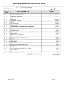 Tablo 1.9 Bütçe Giderlerinin Ekonomik Sınıflandırılması Tablosu