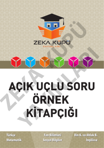 açık uçlu soru örnek kitapçığı