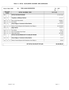 Bütçe Gelirlerinin Ekonomik Sınıflandırılması Tablosu - Türk