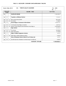 TABLO 1.2 GELİRLERİN EKONOMİK