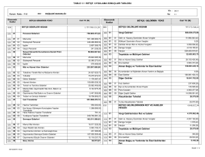 TABLO 1.1 BÜTÇE UYGULAMA SONUÇLARI TABLOSU 797.372