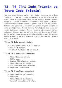 T3, T4 (Tri İodo Trionin ve Tetra İodo Trionin),TSH ( Tiroid Sitimulan