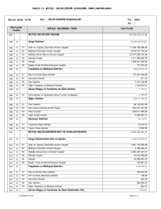 TABLO 1.5 BÜTÇE GELİRLERİNİN EKONOMİK