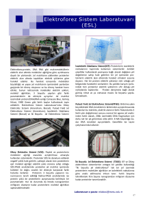 Elektroforez Sistem Laboratuvarı (ESL)