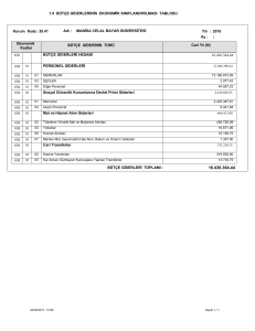 1.9 BÜTÇE GİDERLERİNİN EKONOMİK SINIFLANDIRILMASI