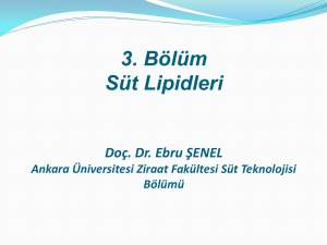 3. Süt Lipidleri - Ankara Üniversitesi