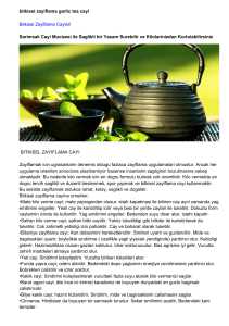 bitkisel zayiflama garlic tea cayi Bitkisel Zayiflama