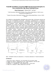 Terpolimer/MMT Nanokompozit Hidrojeller ile Sulu Çözeltilerden