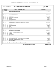 1.9 BÜTÇE GİDERLERİNİN EKONOMİK SINIFLANDIRILMASI