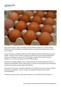 Japon Bilim İnsanları Tavuk Yumurtasının İçinde İlaç Üretiyor!