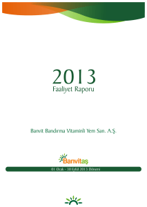 2013 Yılı 3. Çeyrek Faaliyet Raporu